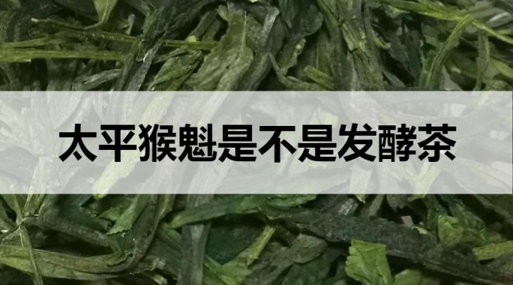 太平猴魁是不是發(fā)酵茶？