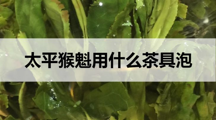 太平猴魁用什么茶具泡？