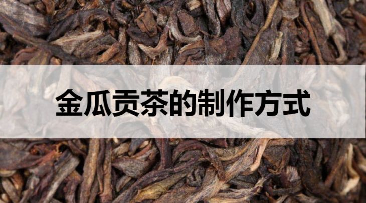 金瓜貢茶的制作工藝