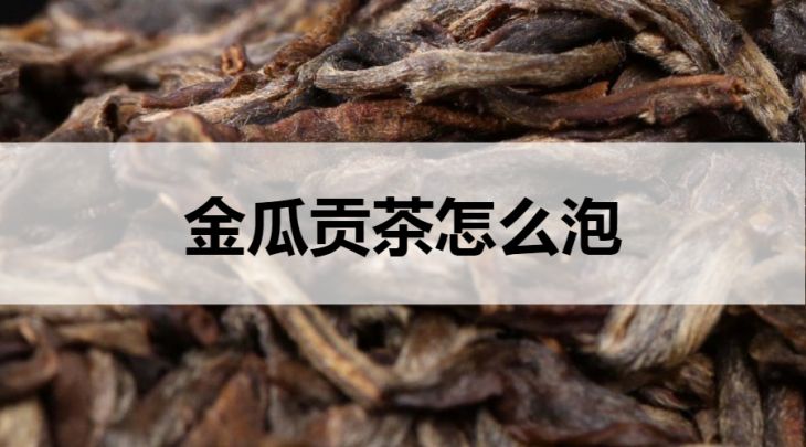 金瓜貢茶怎么泡？