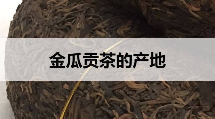 金瓜貢茶的產(chǎn)地在哪里？