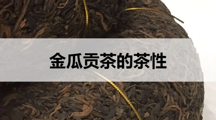 金瓜貢茶是溫性還是涼性的？