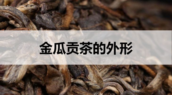 金瓜貢茶的外形什么樣？