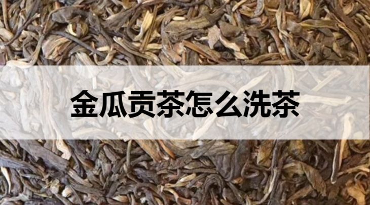 金瓜貢茶怎么洗茶？