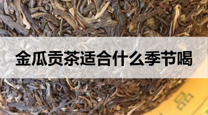 金瓜貢茶適合什么季節(jié)喝？