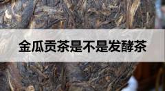 金瓜貢茶是不是發(fā)酵茶？