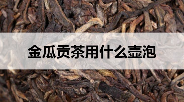 金瓜貢茶用什么壺泡？