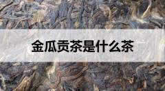 金瓜貢茶是什么茶？