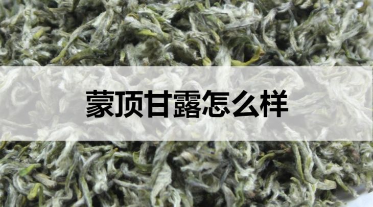 蒙頂甘露怎么樣？