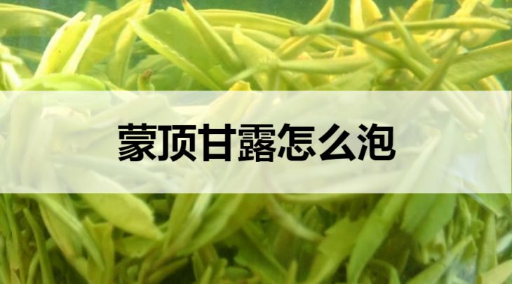 蒙頂甘露怎么泡？