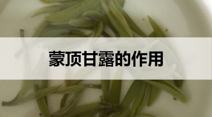 蒙頂甘露的作用有哪些？