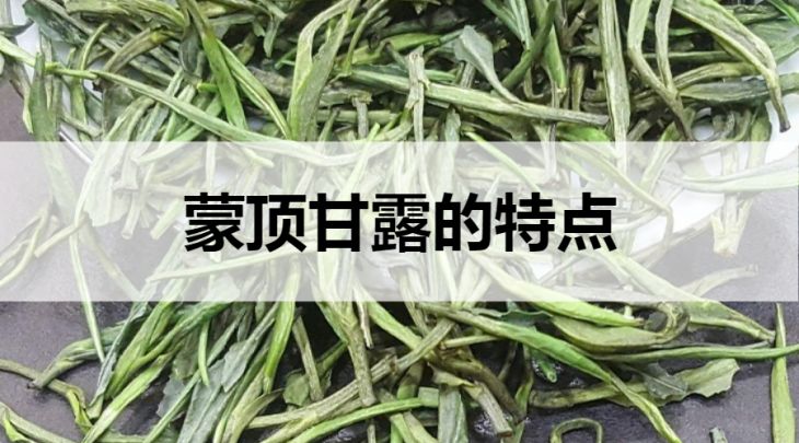 蒙頂甘露的特點有哪些？