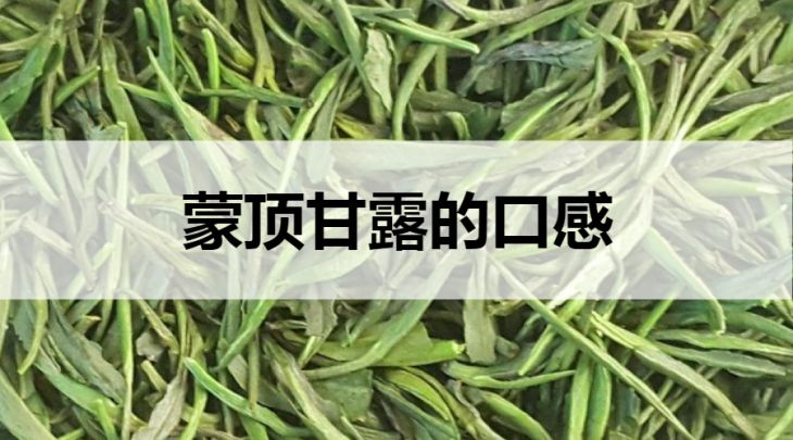 蒙頂甘露的口感怎么樣？