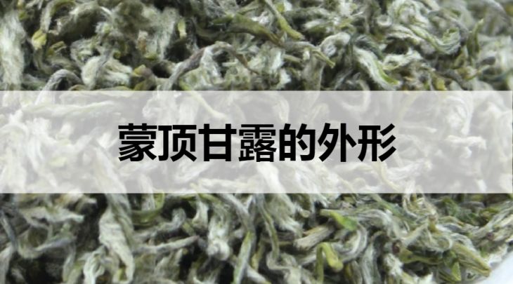 蒙頂甘露的外形什么樣？