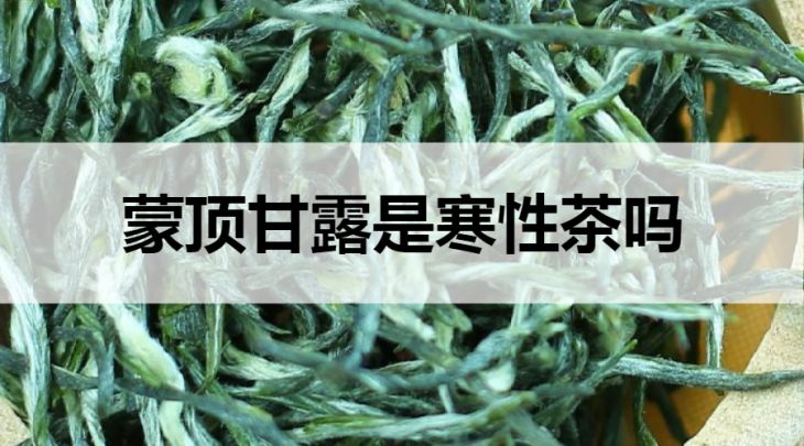 蒙頂甘露是寒性茶嗎？