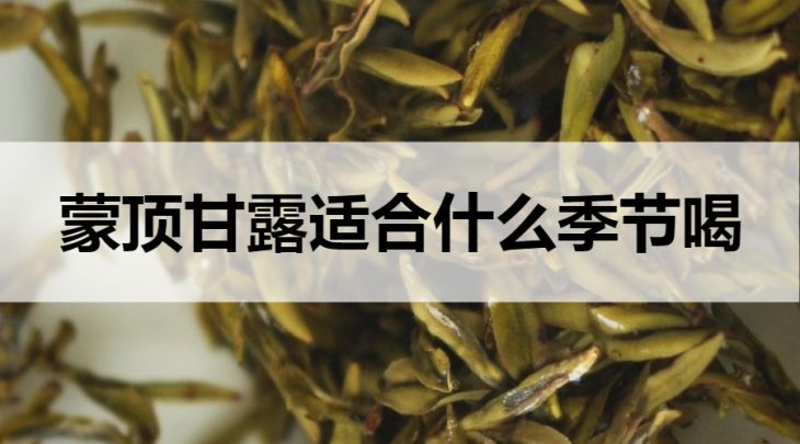 蒙頂甘露適合什么季節(jié)飲用？