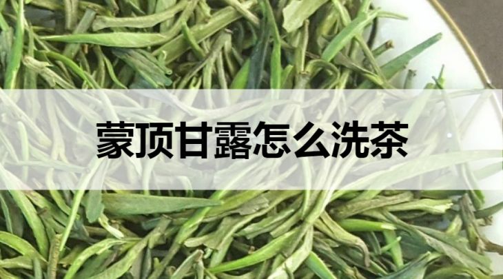 蒙頂甘露怎么洗茶？