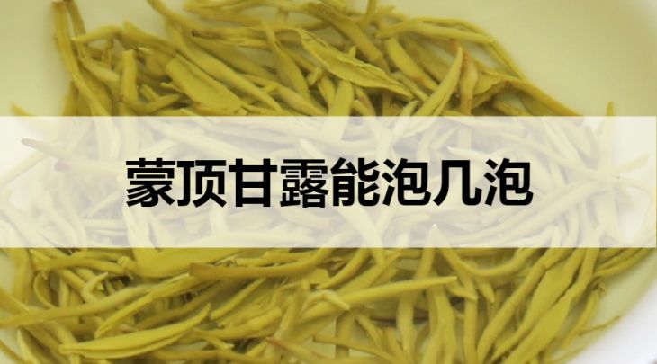 蒙頂甘露能泡幾泡？