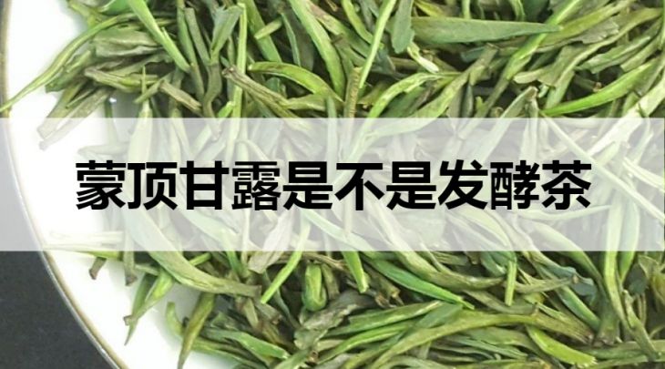 蒙頂甘露是不是發(fā)酵茶？