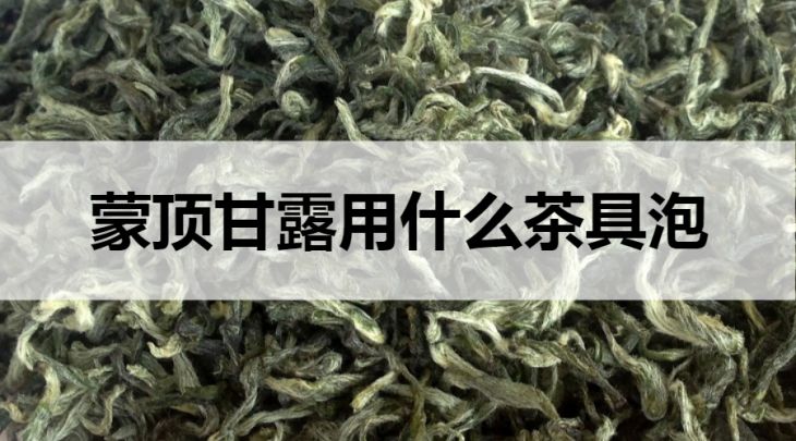 蒙頂甘露用什么茶具泡？