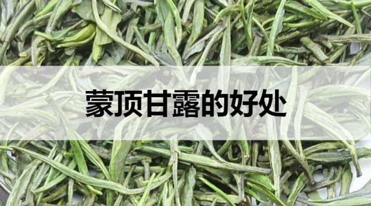 蒙頂甘露的好處有哪些？