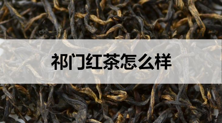 祁門紅茶怎么樣？