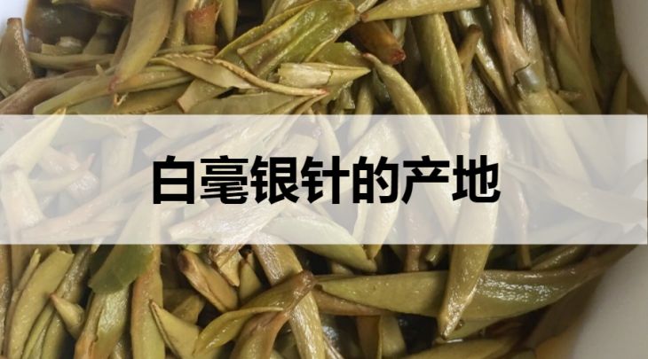 白毫銀針的產(chǎn)地在哪里？