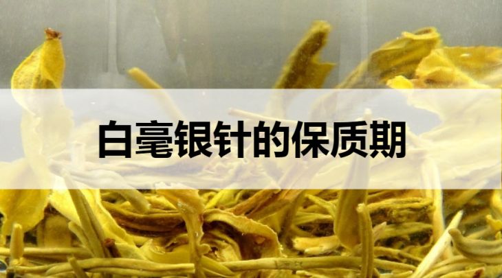 白毫銀針的保質(zhì)期是多久？（越久越好）