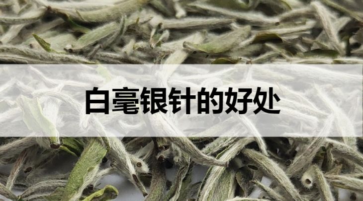 白毫銀針的好處有哪些？