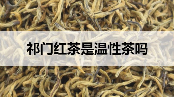 祁門紅茶是溫性茶嗎？