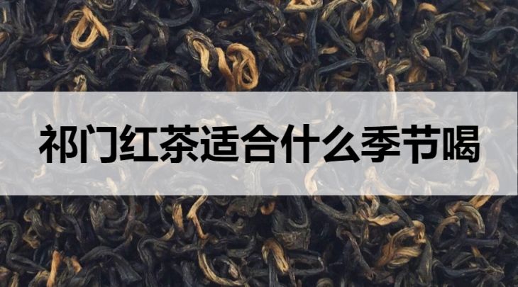 祁門(mén)紅茶適合什么季節(jié)飲用？