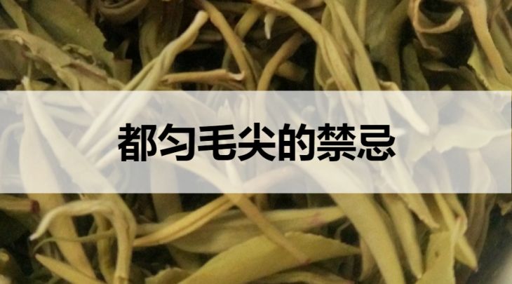 都勻毛尖的禁忌有哪些？