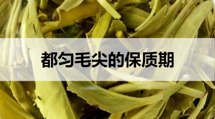 都勻毛尖的保質(zhì)期是多久？