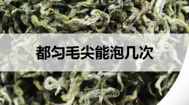 都勻毛尖能沖泡幾次？