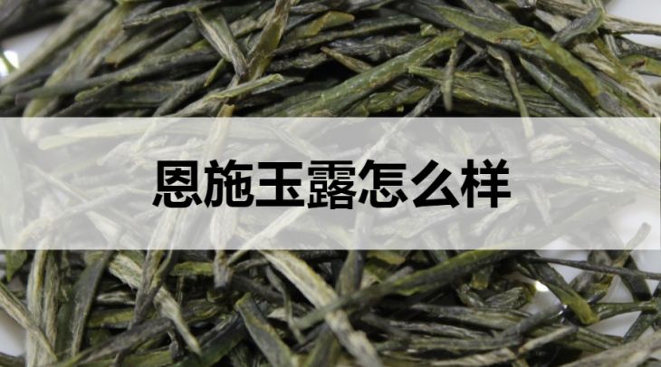 恩施玉露怎么樣？