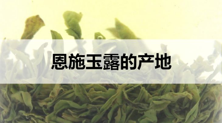 恩施玉露的產(chǎn)地在哪里？