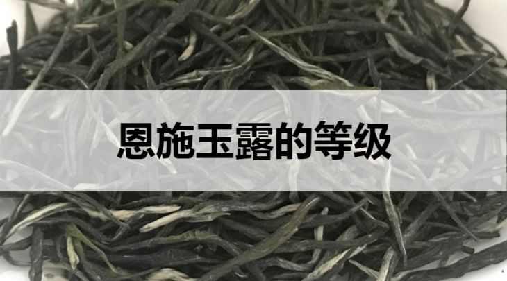 恩施玉露的等級劃分