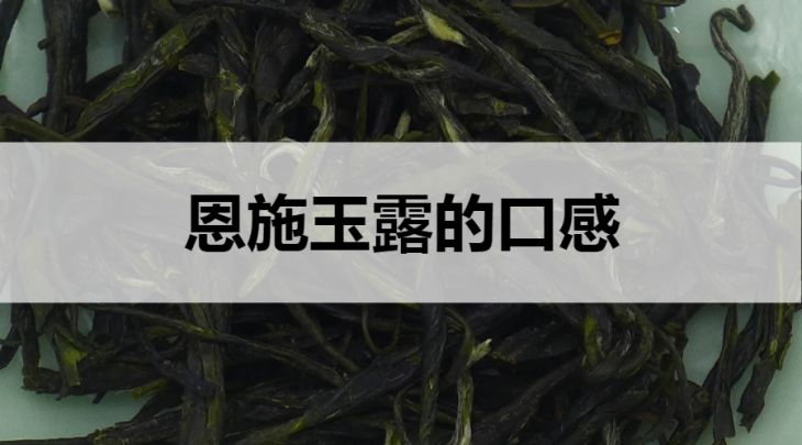 恩施玉露的口感怎么樣？