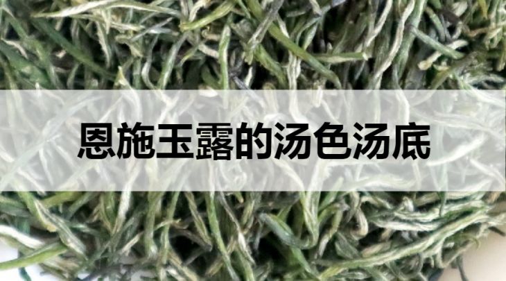 恩施玉露的湯色湯底什么樣？