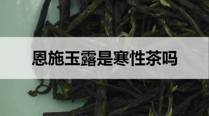 恩施玉露是寒性茶嗎？