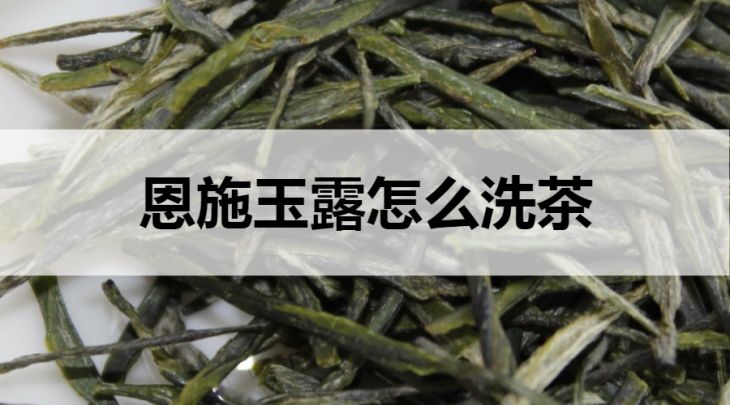 恩施玉露怎么洗茶？