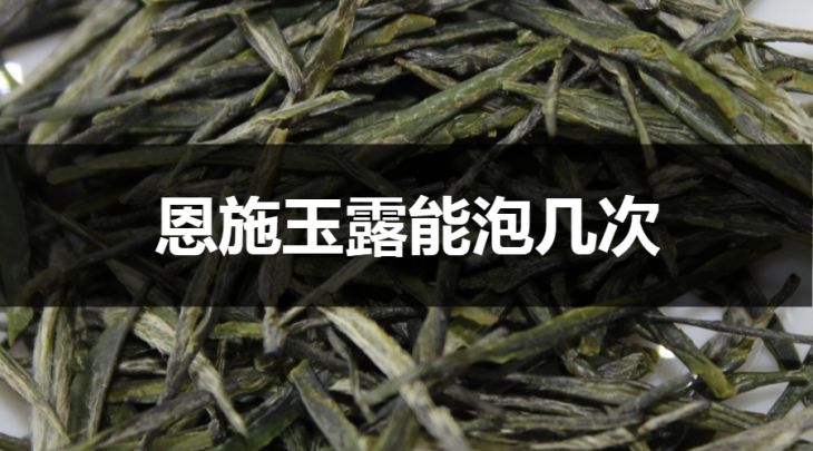 恩施玉露能泡幾次？