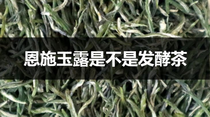 恩施玉露是不是發(fā)酵茶？