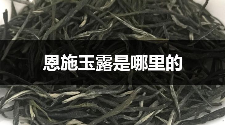 恩施玉露是哪里的？