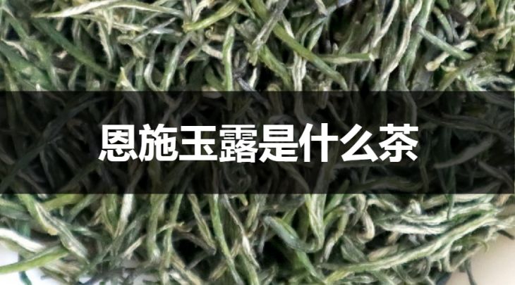 恩施玉露是什么茶？（蒸青綠茶）