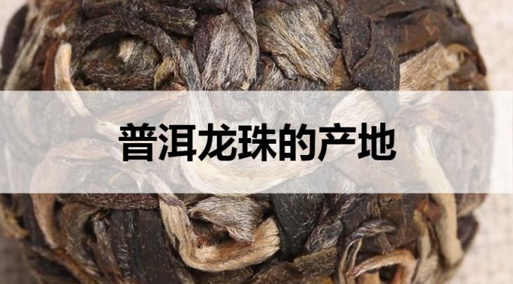 普洱龍珠的產(chǎn)地在哪里？