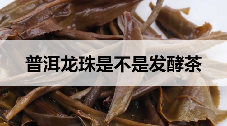 普洱龍珠是不是發(fā)酵茶？