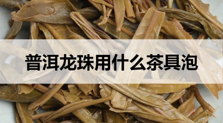 普洱龍珠用什么茶具泡？