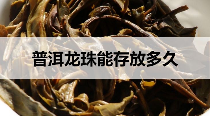 普洱龍珠能存放多久？