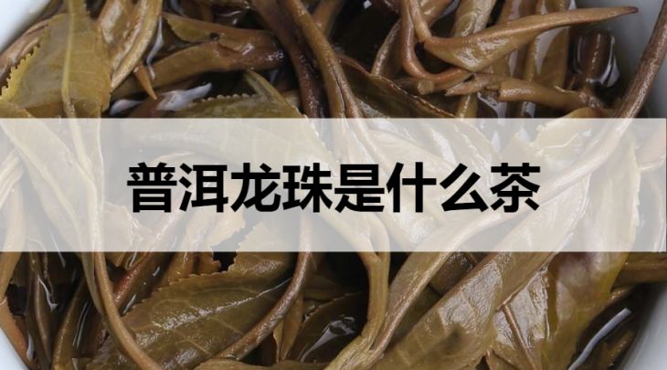 普洱龍珠是什么茶？